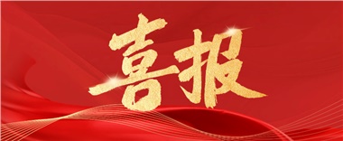 喜訊！長康實業(yè)上榜2024年度“岳陽民營企業(yè)50強” ！
